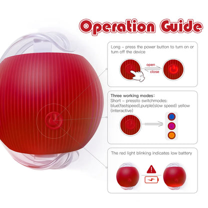 Interactive Cat & Dog Teaser Toy with Two Additional Tails, Kitten Rolling Ball Toy, Pet Supplies, Dog & Cat Accessories Cute dog toys